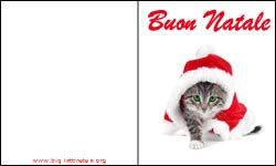 Biglietti Natale gatto